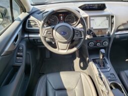 
 Subaru Crosstrek full									