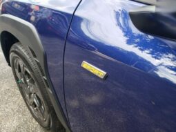 
 Subaru Crosstrek full									