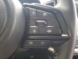 
 Subaru Crosstrek full									