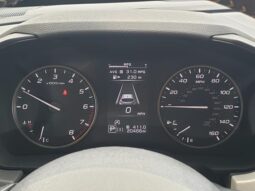 
 Subaru Crosstrek full									