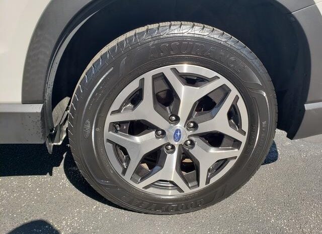 
 Subaru Forester full									