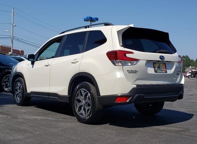 
 Subaru Forester full									