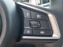 
 Subaru Outback full									
