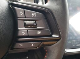 
 Subaru Crosstrek full									