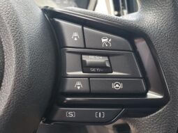 
 Subaru Crosstrek full									