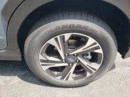 
 Subaru Crosstrek full									