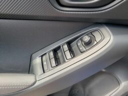 Subaru Crosstrek full