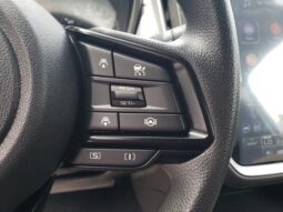 Subaru Crosstrek full