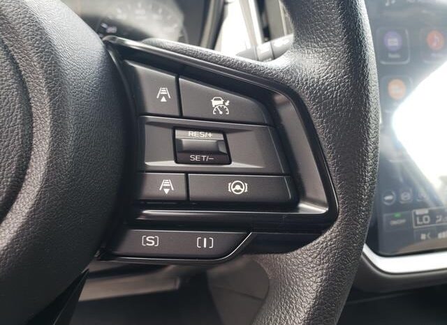 
 Subaru Crosstrek full									