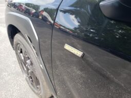 
 Subaru Crosstrek full									