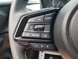 
 Subaru Crosstrek full									