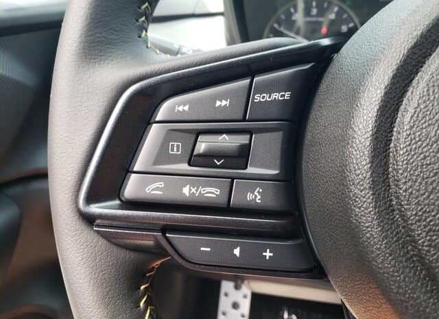 
 Subaru Crosstrek full									