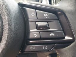 
 Subaru Crosstrek full									