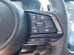 
 Subaru Crosstrek full									