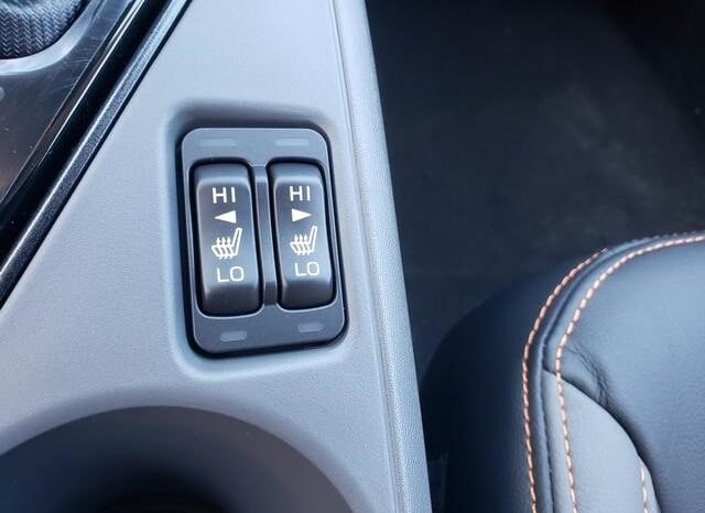 
 Subaru Crosstrek full									