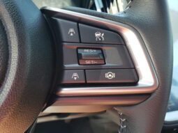 
 Subaru Legacy full									
