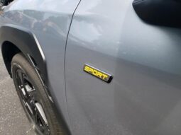 
 Subaru Crosstrek full									