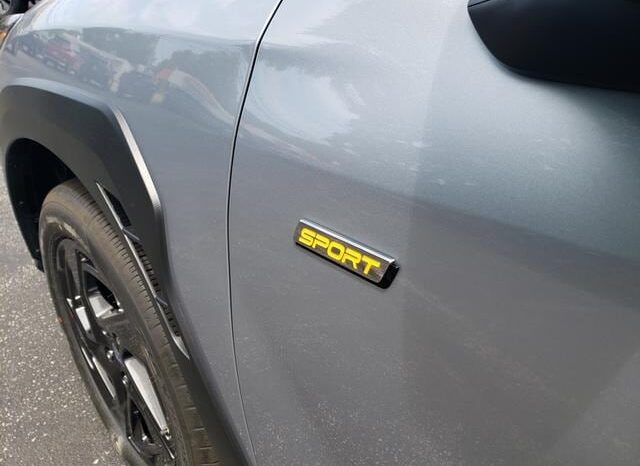 
 Subaru Crosstrek full									