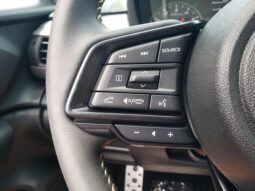
 Subaru Crosstrek full									