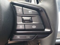 
 Subaru Crosstrek full									