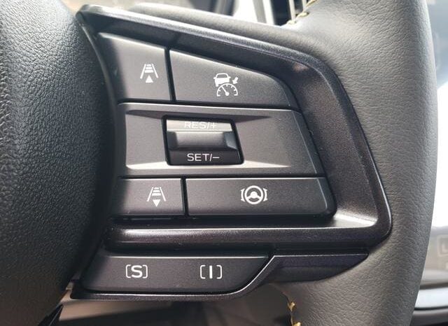 
 Subaru Crosstrek full									