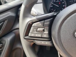 
 Subaru Crosstrek full									