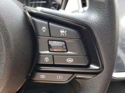 
 Subaru Crosstrek full									