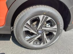 
 Subaru Crosstrek full									