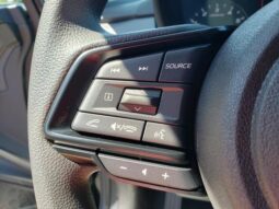 
 Subaru Crosstrek full									