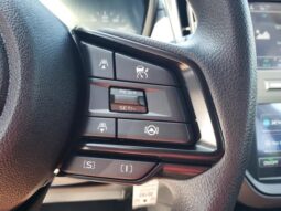 
 Subaru Crosstrek full									