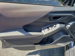 
 Subaru Crosstrek full									