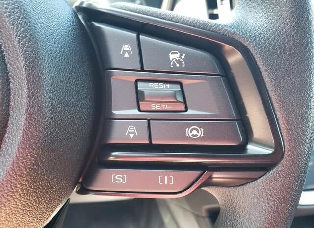 
 Subaru Crosstrek full									