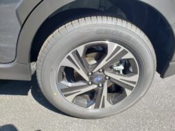 
 Subaru Crosstrek full									