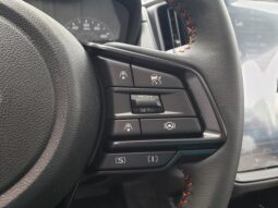 
 Subaru Crosstrek full									