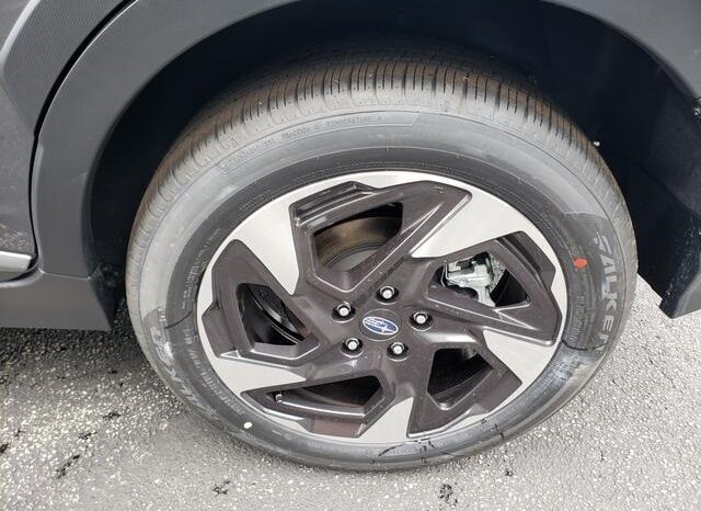 
 Subaru Crosstrek full									