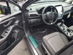 
 Subaru Crosstrek full									