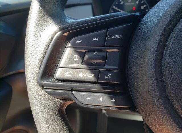 
 Subaru Crosstrek full									