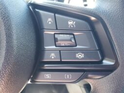 
 Subaru Crosstrek full									