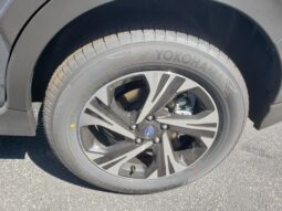 
 Subaru Crosstrek full									