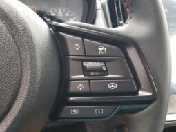 
 Subaru Crosstrek full									