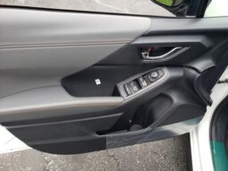 
 Subaru Crosstrek full									