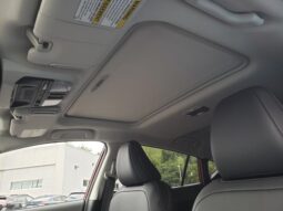 
 Subaru Crosstrek full									