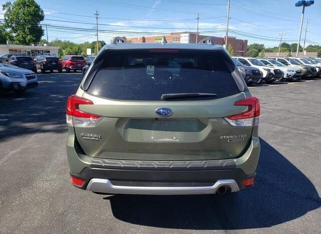 
 Subaru Forester full									