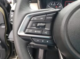 
 Subaru Outback full									