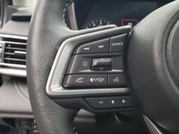 Subaru Outback full