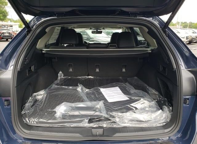 
 Subaru Outback full									