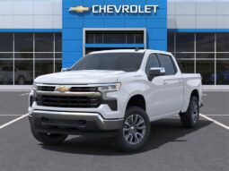 
 Chevrolet Silverado 1500 full									
