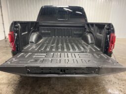 
 Ford F-150 full									