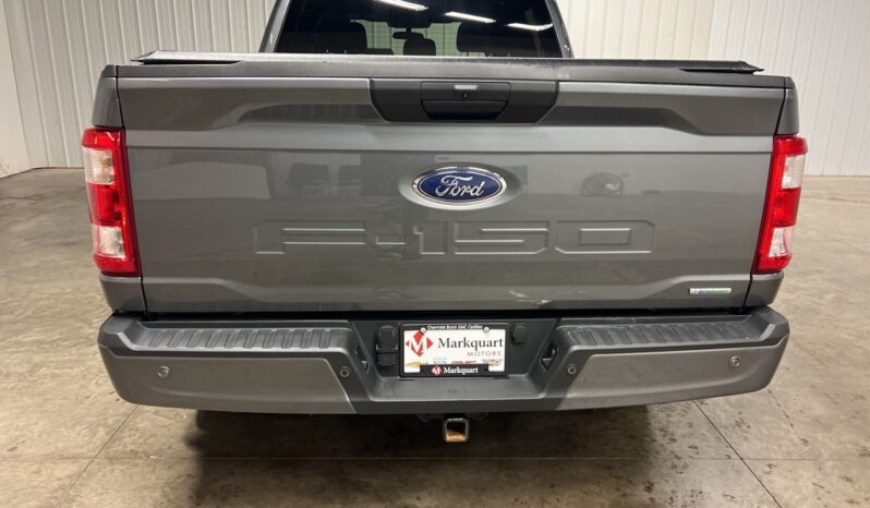 
 Ford F-150 full									