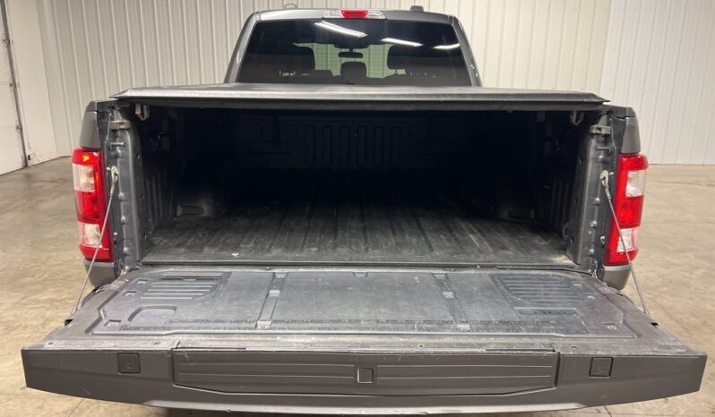 
 Ford F-150 full									